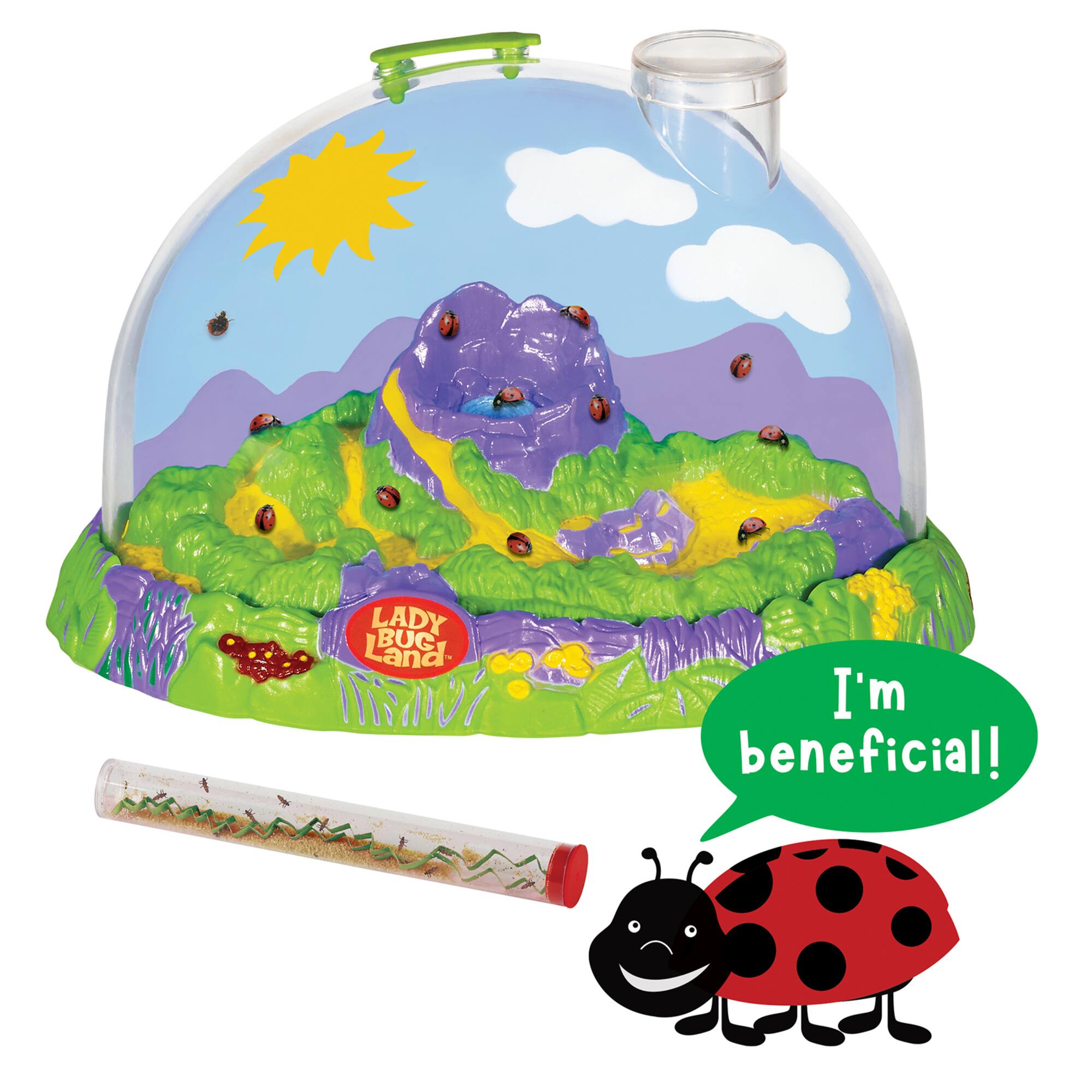 Ladybug Land™